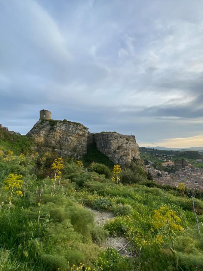 Apartamento La Ginestra Corleone Exterior foto